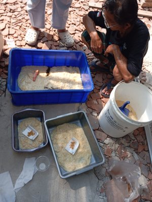 Program Pendampingan Budidaya Maggot 