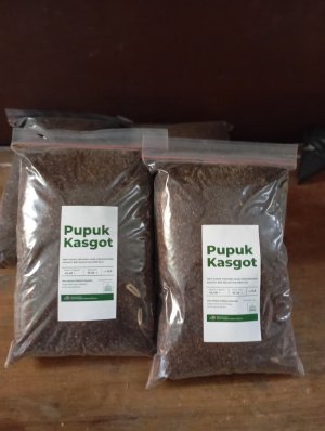 Pupuk Kasgot (Bekas Maggot)